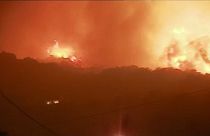 Korsika'da orman yangınları: Bin kişi tahliye edildi