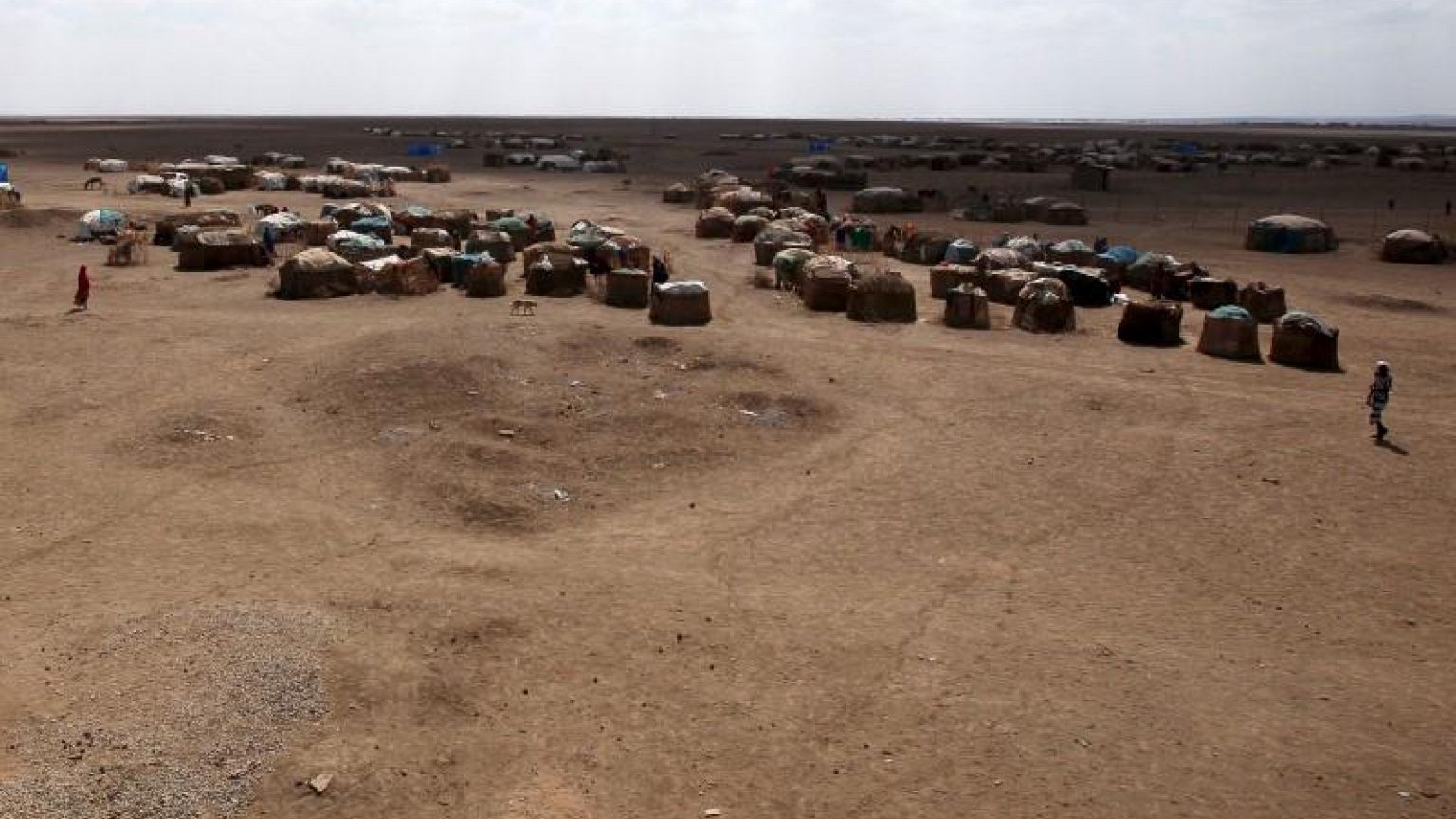 FAO pede "ajuda urgente" para criadores de gado afetados pela seca