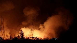Waldbrand bei Athen: Kampf gegen die Flammen