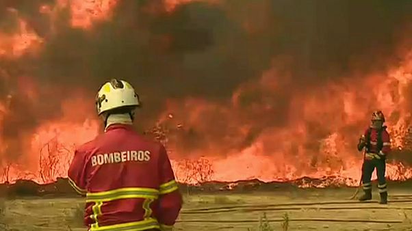 Chamas não dão tréguas Chamas não dão tréguas