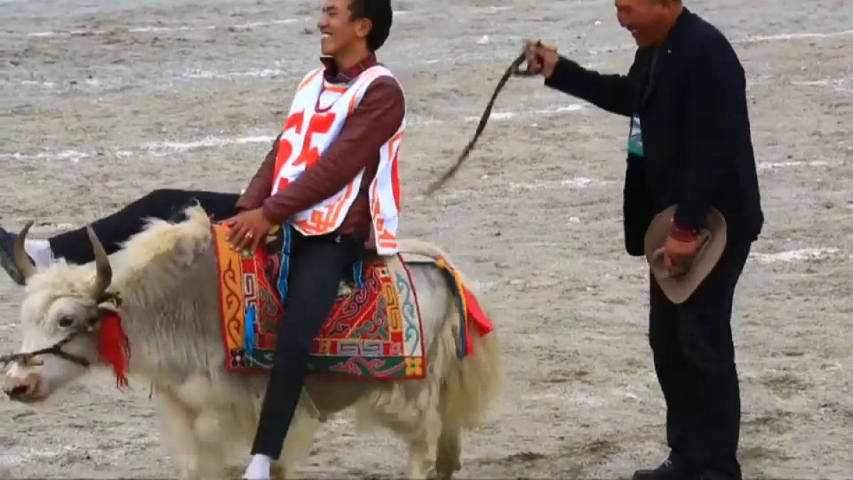 Horse festival in Tibet brings high jinks and high notes to the high plateaux