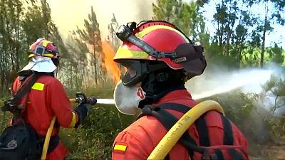 EU firefighters drafted in to aid Portuguese efforts to quell forest fires