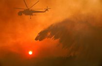 Dry winds and hot weather stoke 90 fires in Greece