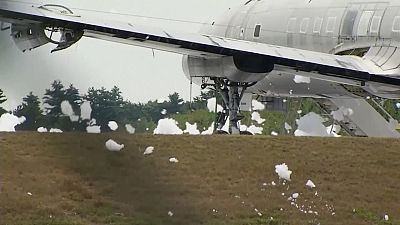 Hab árasztott el egy repülőteret Maine-ben
