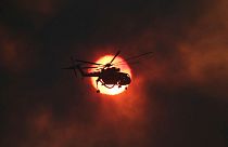Greece asks neighbours for help in tackling wildfires