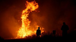 Decenas de incendios fuera de control en Portugal