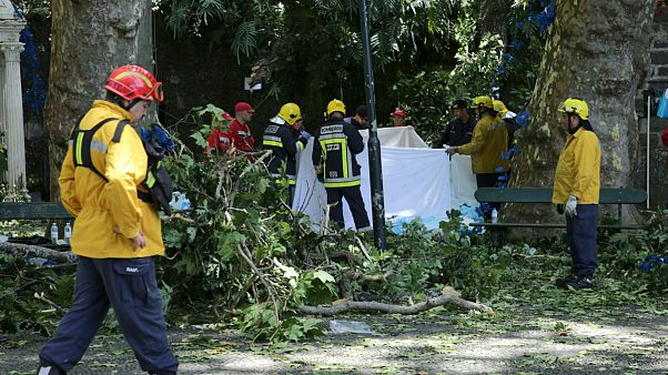 Madeira: vizsgálat és gyász Madeira: vizsgálat és gyász