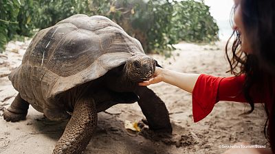 Eco-Tourism: Preserving the Seychelles’ true treasures Eco-Tourism: Preserving the Seychelles’ true treasures