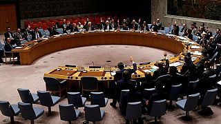 "Le Conseil de sécurité doit saisir la chance qu'offre la force du G5 Sahel" - ONU