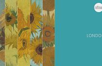 Van Gogh's Sunflowers in Virtual Reality