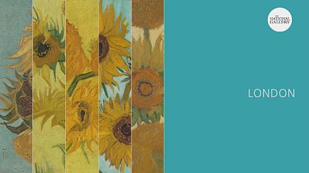 Van Gogh's Sunflowers in Virtual Reality