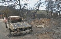 Yunanistan'da binlerce dönüm ormanlık alan kül oldu