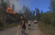 Thousands of firefighters battle central Portugal wildfires
