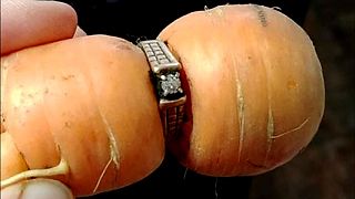 Canadian woman finds long-lost engagement ring on carrot
