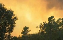 Incêndios não dão tréguas
