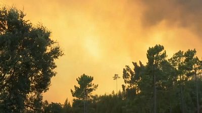 Waldbrände in Portugal halten an