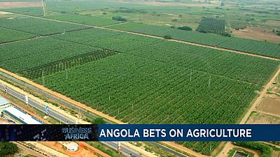 Angola bets on Agriculture and Morocco's debatable Plan for Sub Saharan Africa [Business Africa]