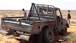 Three U.S. airstrikes kill seven al-Shabaab militants in Somalia