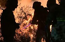 Mação concentra maior número de bombeiros