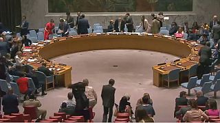 U.N. Security Council members urge new probe into killings of monitors