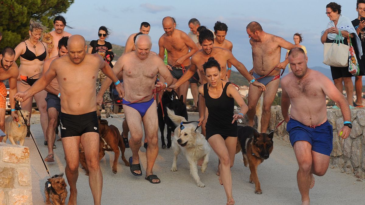 رالي السباحة بمعية الكلاب في كرواتيا