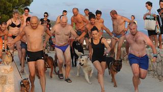 رالي السباحة بمعية الكلاب في كرواتيا