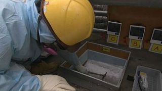 Jégszőnyeg épül a fukusimai atomerőműnél