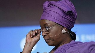 Nigeria : de nouvelles propriétés de l'ex-ministre du pétrole saisies