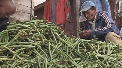 Vanilla prices soar in Madagascar