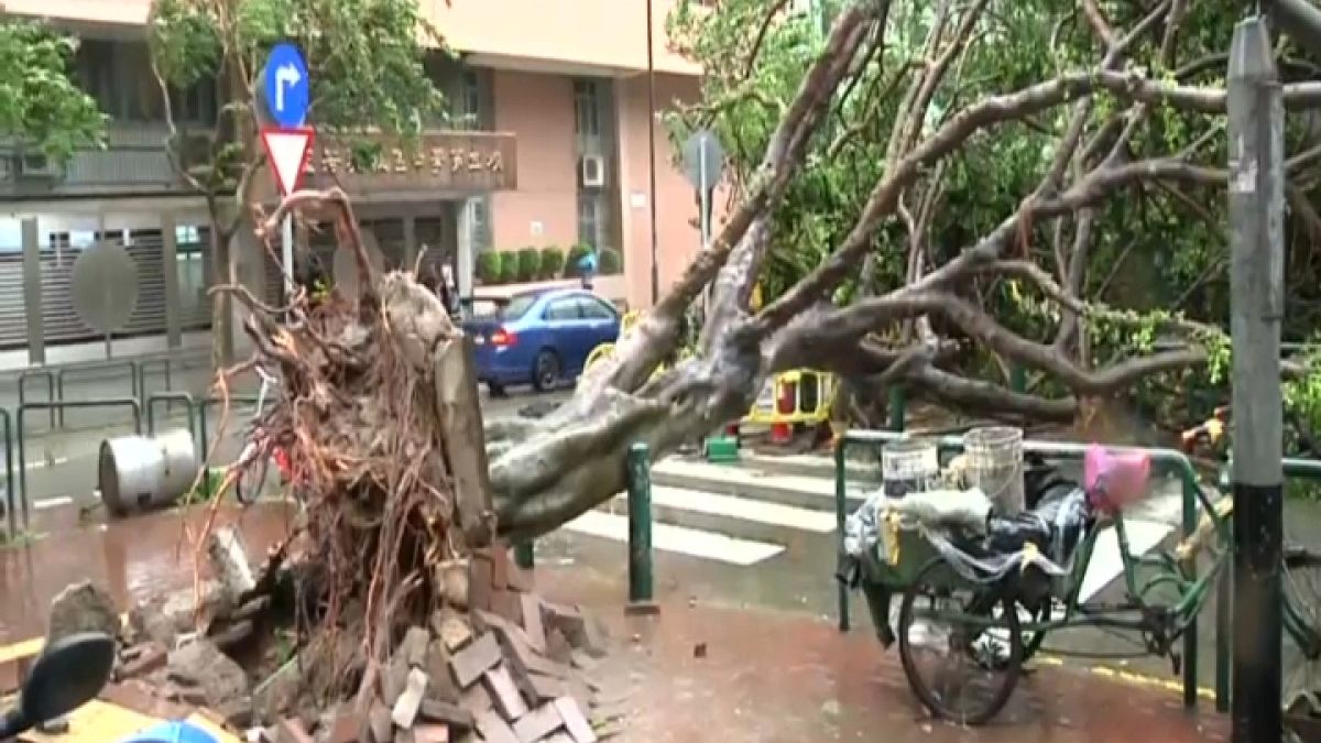 طوفان «هاتو» در جنوب چین دست کم ۱۲ کشته به جا گذاشت