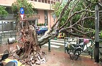 طوفان «هاتو» در جنوب چین دست کم ۱۲ کشته به جا گذاشت