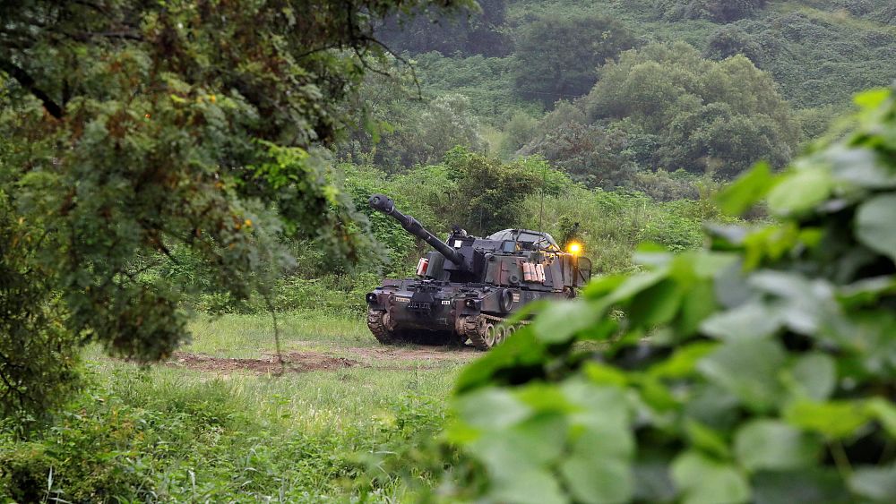How A Second Korean War Might Be Fought View Euronews