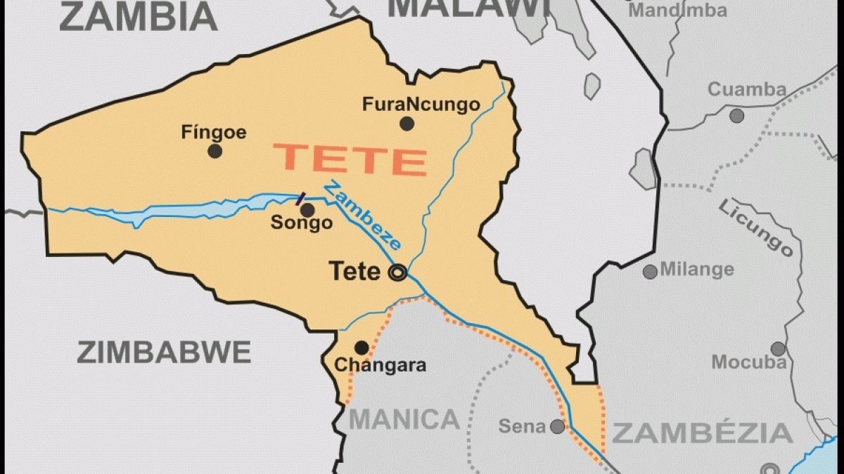A maior floresta fossilizada do continente africano está em Tete