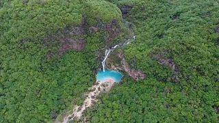 Green landscapes in an unexpected place