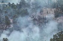 Пожар в Хосровском лесу