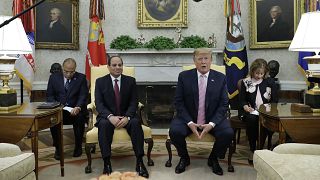 Image: Donald Trump Abdel Fattah al-Sisi