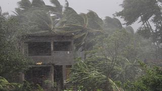 Image: An abandoned house and trees bend with gusty winds ahead off the lan
