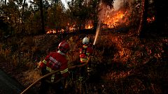 Incêndios no centro do país ocupam os bombeiros