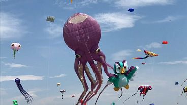 Eyes to the skies for Taiwan's kite festival
