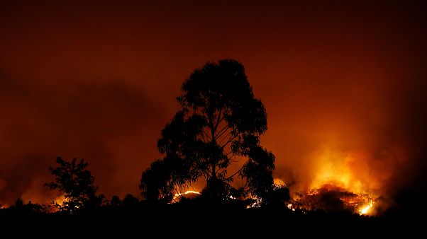 Quase 1200 operacionais combatem fogos em Bragança e Castelo Branco Quase 1200 operacionais combatem fogos em Bragança e Castelo Branco