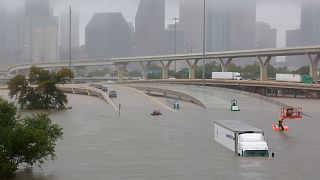 Tempête Harvey : les secours mobilisés