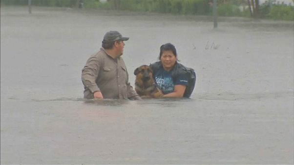 Uragano Harvey: Houston sott'acqua, 2mila le persone soccorse Uragano Harvey: Houston sott'acqua, 2mila le persone soccorse