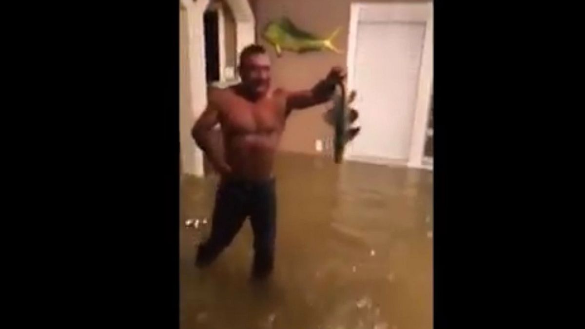 Man goes fishing in his flood-hit Houston house