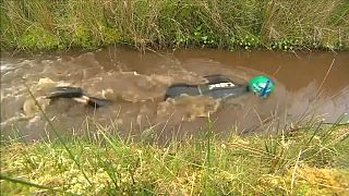 Campeonato Mundial de Bog snorkelling no País de Gales