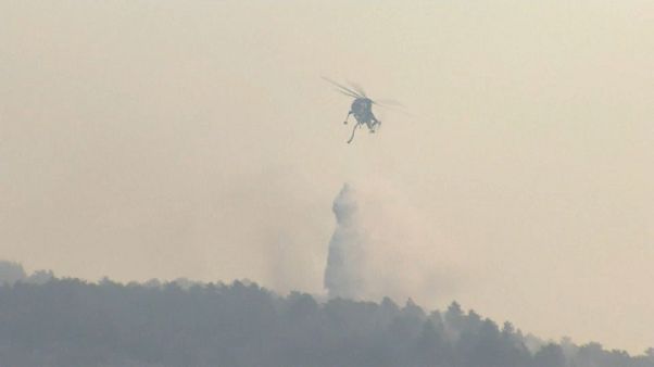 Incendi in centro e sud Italia: interviene l'esercito in Abruzzo e Calabria Incendi in centro e sud Italia: interviene l'esercito in Abruzzo e Calabria