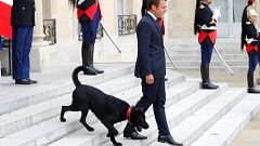 Νέμο: ο νέος ένοικος του Ελιζέ υιοθετήθηκε από το ζεύγος Μακρόν