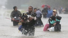 Texas: Viele freiwillige Helfer und Retter