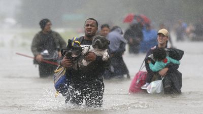 إعصار "هارفي" يشرد سكان مدينة هيوستون الأميركية