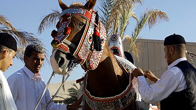 Libya's saddle craft kept alive by a few artisans.
