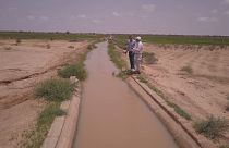 O modelo japonês de cooperação e desenvolvimento